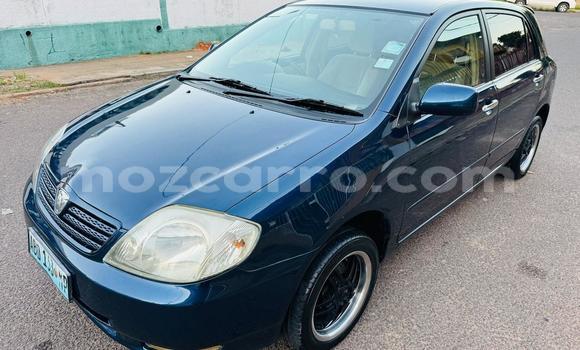 Tenga Tsaru Toyota Runx Bhuruu Mota in Maputo in Maputo Tenga Tsaru Toyota Runx Bhuruu Mota in Maputo in Maputo