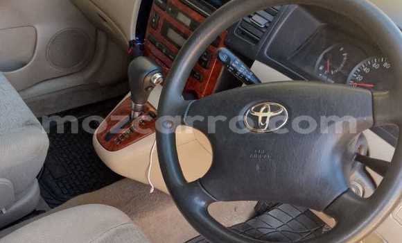 Tenga Tsaru Toyota Spacio Zvimwe Mota in Maputo in Maputo Tenga Tsaru Toyota Spacio Zvimwe Mota in Maputo in Maputo