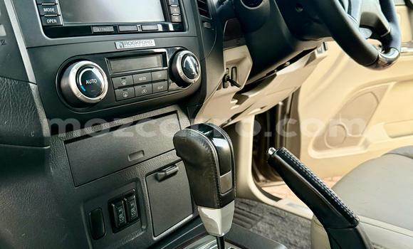 Buy Used Mitsubishi Pajero Brown Car in Maputo in Maputo Buy Used Mitsubishi Pajero Brown Car in Maputo in Maputo