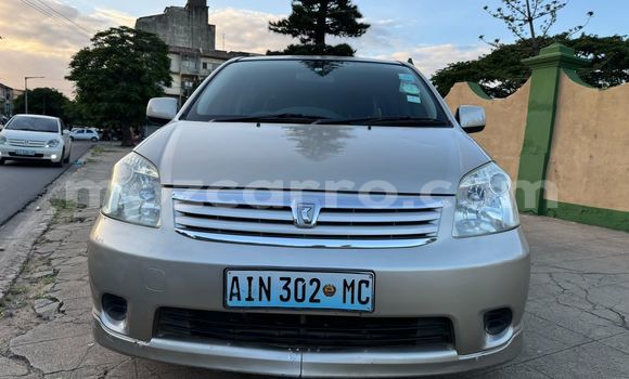 Tenga Tsaru Toyota Raum Sirivha Mota in Maputo in Maputo Tenga Tsaru Toyota Raum Sirivha Mota in Maputo in Maputo