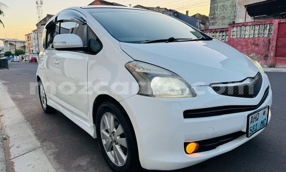 Tenga Tsaru Toyota Ractis Chena Mota in Maputo in Maputo Tenga Tsaru Toyota Ractis Chena Mota in Maputo in Maputo