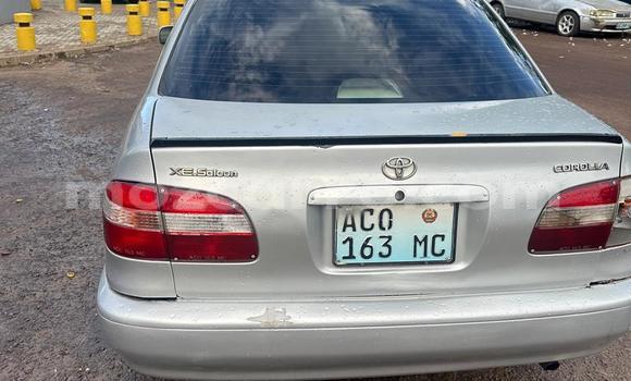 Nunua Ilio tumika Toyota Corolla Fedha Gari ndani ya Maputo nchini Maputo Nunua Ilio tumika Toyota Corolla Fedha Gari ndani ya Maputo nchini Maputo