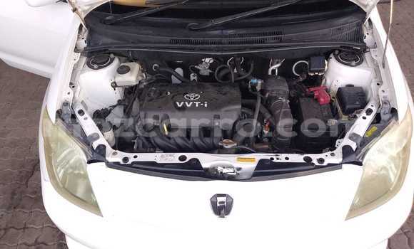 Tenga Itsva Toyota IST Chena Mota in Maputo in Maputo Tenga Itsva Toyota IST Chena Mota in Maputo in Maputo