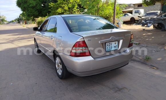 Tenga Tsaru Toyota Corolla Zvimwe Mota in Maputo in Maputo Tenga Tsaru Toyota Corolla Zvimwe Mota in Maputo in Maputo
