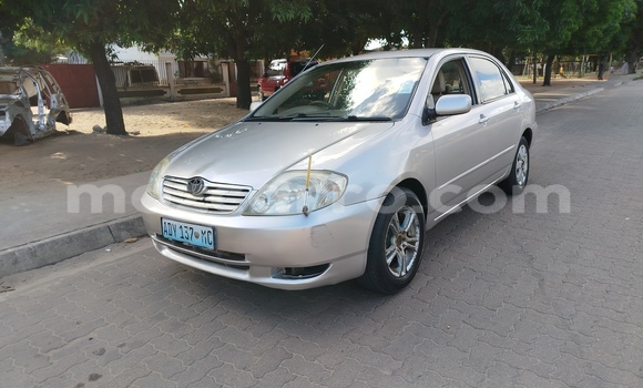 Tenga Tsaru Toyota Corolla Zvimwe Mota in Maputo in Maputo Tenga Tsaru Toyota Corolla Zvimwe Mota in Maputo in Maputo