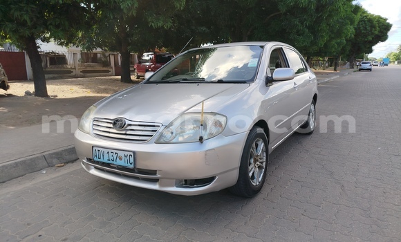 Tenga Tsaru Toyota Corolla Zvimwe Mota in Maputo in Maputo Tenga Tsaru Toyota Corolla Zvimwe Mota in Maputo in Maputo