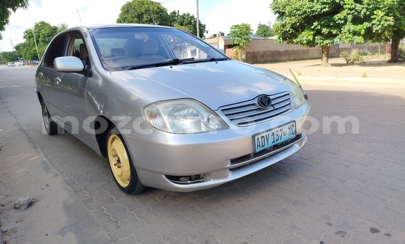 Tenga Tsaru Toyota Corolla Zvimwe Mota in Maputo in Maputo Tenga Tsaru Toyota Corolla Zvimwe Mota in Maputo in Maputo