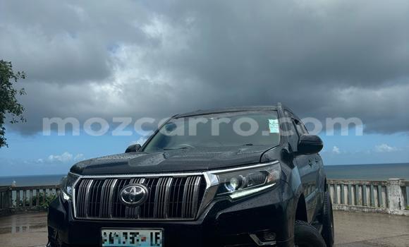 Tenga Tsaru Toyota Land Cruiser Prado Nhema Mota in Maputo in Maputo Tenga Tsaru Toyota Land Cruiser Prado Nhema Mota in Maputo in Maputo