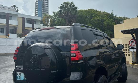 Tenga Tsaru Toyota Land Cruiser Prado Nhema Mota in Maputo in Maputo Tenga Tsaru Toyota Land Cruiser Prado Nhema Mota in Maputo in Maputo