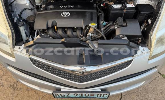 Tenga Tsaru Toyota Ractis Zvimwe Mota in Maputo in Maputo Tenga Tsaru Toyota Ractis Zvimwe Mota in Maputo in Maputo