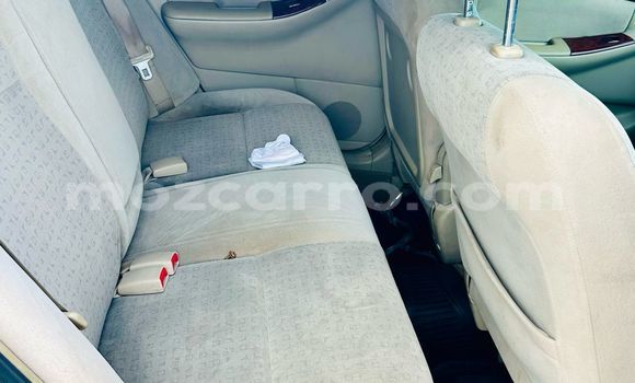 Tenga Tsaru Toyota Runx Zvimwe Mota in Maputo in Maputo Tenga Tsaru Toyota Runx Zvimwe Mota in Maputo in Maputo