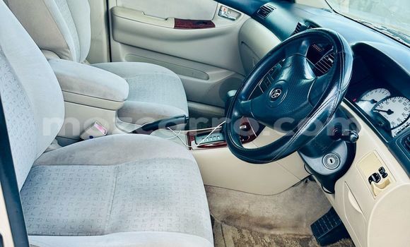 Tenga Tsaru Toyota Runx Zvimwe Mota in Maputo in Maputo Tenga Tsaru Toyota Runx Zvimwe Mota in Maputo in Maputo