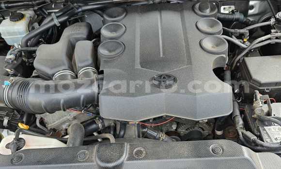 Tenga Tsaru Toyota Land Cruiser Prado Sirivha Mota in Maputo in Maputo Tenga Tsaru Toyota Land Cruiser Prado Sirivha Mota in Maputo in Maputo