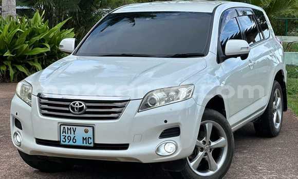 Tenga Tsaru Toyota Vanguard Chena Mota in Maputo in Maputo