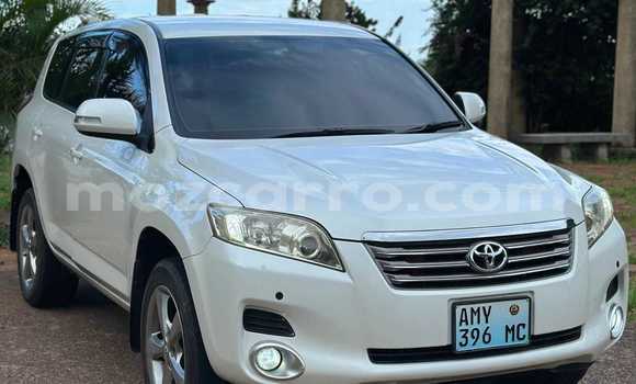 Buy Used Toyota Vanguard White Car in Maputo in Maputo Buy Used Toyota Vanguard White Car in Maputo in Maputo