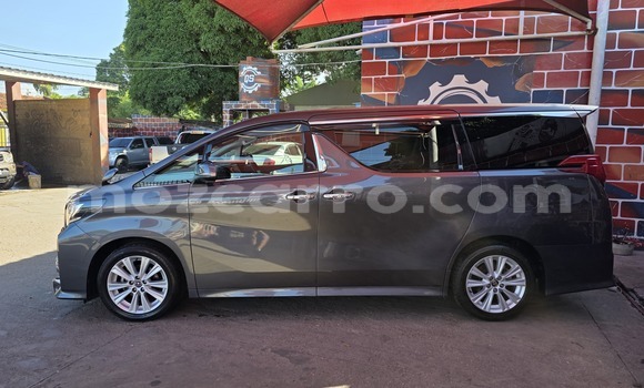 Tenga Itsva Toyota Alphard Nhema Mota in Maputo in Maputo Tenga Itsva Toyota Alphard Nhema Mota in Maputo in Maputo