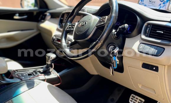 Tenga Tsaru Kia Sorento Zvimwe Mota in Maputo in Maputo Tenga Tsaru Kia Sorento Zvimwe Mota in Maputo in Maputo