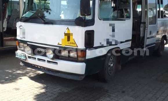 Comprar Usado Toyota Coaster Branco Carro em Maputo em Maputo Comprar Usado Toyota Coaster Branco Carro em Maputo em Maputo