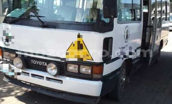 Comprar Usado Toyota Coaster Branco Carro em Maputo em Maputo Comprar Usado Toyota Coaster Branco Carro em Maputo em Maputo