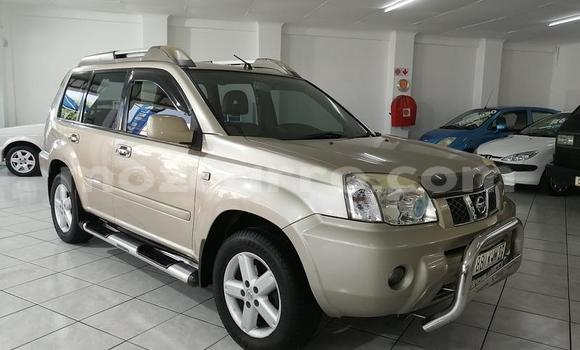Buy Used Nissan X-Trail Red Car in Maputo in Maputo Buy Used Nissan X-Trail Red Car in Maputo in Maputo