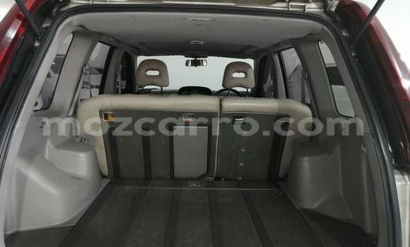 Buy Used Nissan X-Trail Red Car in Maputo in Maputo Buy Used Nissan X-Trail Red Car in Maputo in Maputo