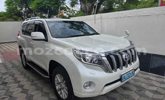 Tenga Itsva Toyota Land Cruiser Prado Chena Mota in Maputo in Maputo Tenga Itsva Toyota Land Cruiser Prado Chena Mota in Maputo in Maputo