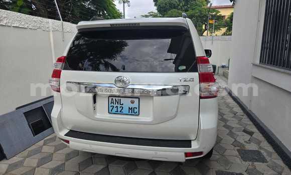 Tenga Itsva Toyota Land Cruiser Prado Chena Mota in Maputo in Maputo Tenga Itsva Toyota Land Cruiser Prado Chena Mota in Maputo in Maputo