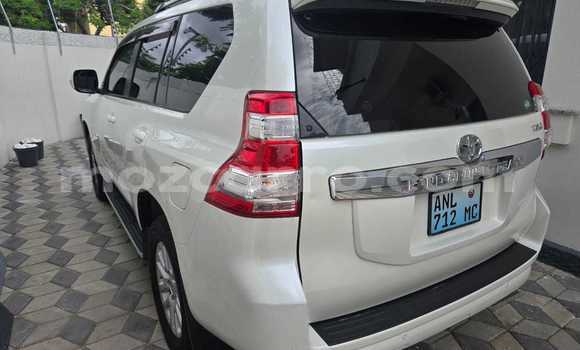 Tenga Itsva Toyota Land Cruiser Prado Chena Mota in Maputo in Maputo Tenga Itsva Toyota Land Cruiser Prado Chena Mota in Maputo in Maputo