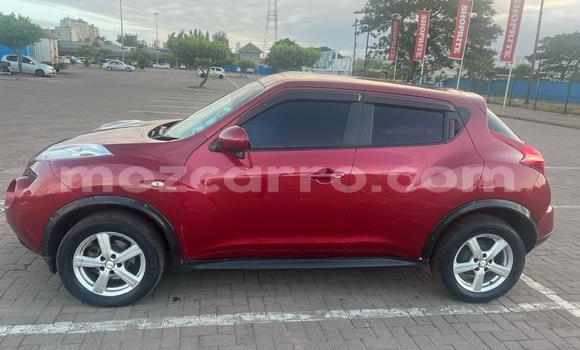 Buy Used Nissan Juke Red Car in Maputo in Maputo Buy Used Nissan Juke Red Car in Maputo in Maputo