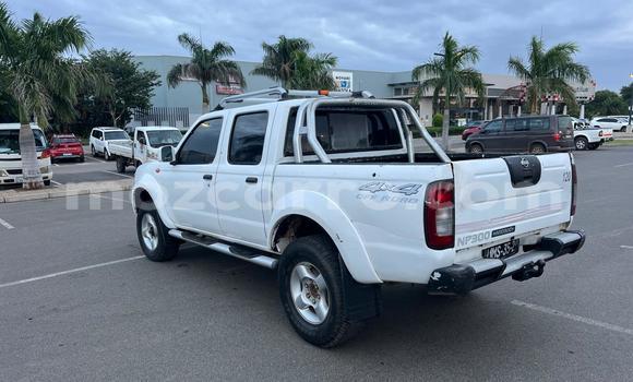 Comprar Usado Nissan Hardbody Branco Carro em Maputo em Maputo Comprar Usado Nissan Hardbody Branco Carro em Maputo em Maputo