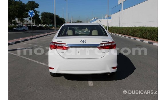 Comprar Importar Toyota Corolla Branco Carro em Import - Dubai em Cabo Delgado Comprar Importar Toyota Corolla Branco Carro em Import - Dubai em Cabo Delgado