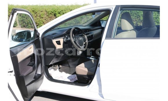 Comprar Importar Toyota Corolla Branco Carro em Import - Dubai em Cabo Delgado Comprar Importar Toyota Corolla Branco Carro em Import - Dubai em Cabo Delgado