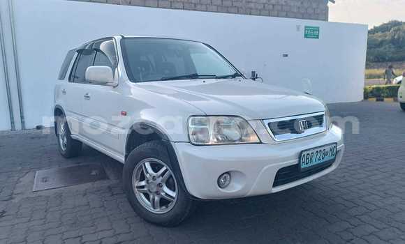 Buy Used Honda CR-V White Car in Maputo in Maputo