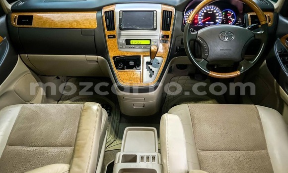 Tenga Tsaru Toyota Alphard Chena Mota in Marara in Tete Tenga Tsaru Toyota Alphard Chena Mota in Marara in Tete