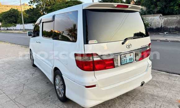 Tenga Tsaru Toyota Alphard Chena Mota in Maputo in Maputo Tenga Tsaru Toyota Alphard Chena Mota in Maputo in Maputo