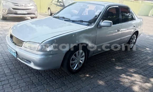 Buy Used Toyota Corolla Other Car in Maputo in Maputo Buy Used Toyota Corolla Other Car in Maputo in Maputo