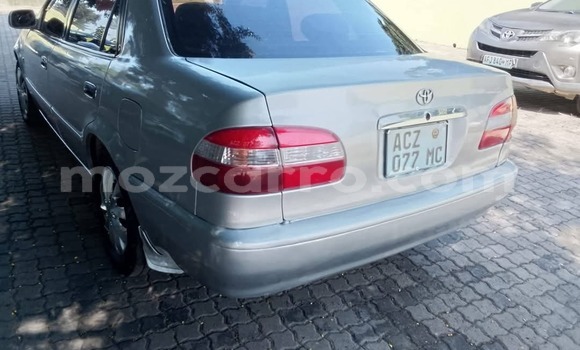 Buy Used Toyota Corolla Other Car in Maputo in Maputo Buy Used Toyota Corolla Other Car in Maputo in Maputo