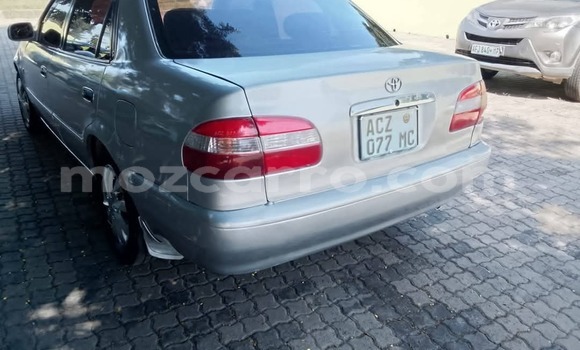 Buy Used Toyota Corolla Other Car in Maputo in Maputo Buy Used Toyota Corolla Other Car in Maputo in Maputo