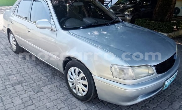 Buy Used Toyota Corolla Other Car in Maputo in Maputo Buy Used Toyota Corolla Other Car in Maputo in Maputo