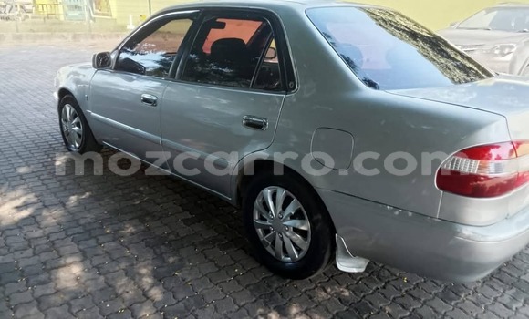 Buy Used Toyota Corolla Other Car in Maputo in Maputo Buy Used Toyota Corolla Other Car in Maputo in Maputo