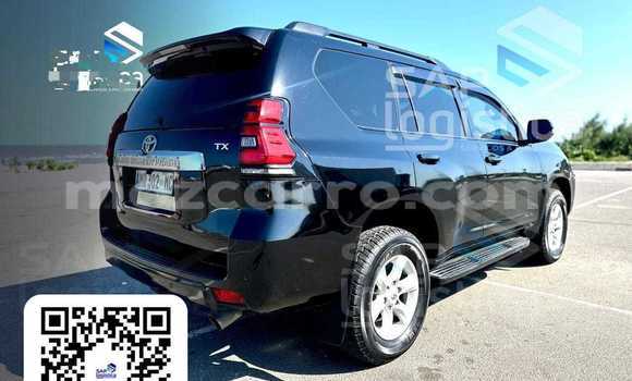 Tenga Tsaru Toyota Land Cruiser Prado Nhema Mota in Maputo in Maputo Tenga Tsaru Toyota Land Cruiser Prado Nhema Mota in Maputo in Maputo