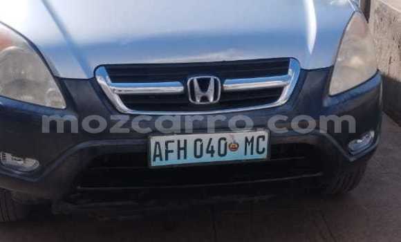 Buy Used Honda CR-V Other Car in Maputo in Maputo Buy Used Honda CR-V Other Car in Maputo in Maputo