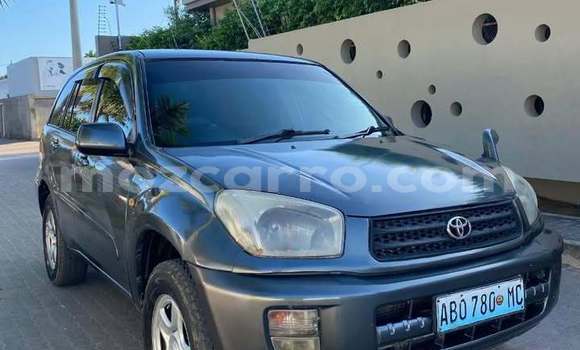 Nunua Ilio tumika Toyota RAV4 Nyingine Gari ndani ya Macia nchini Gaza Nunua Ilio tumika Toyota RAV4 Nyingine Gari ndani ya Macia nchini Gaza