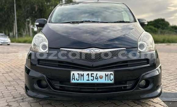 Tenga Tsaru Toyota Ractis Nhema Mota in Catandica in Manica