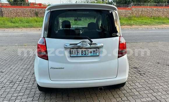 Tenga Tsaru Toyota Ractis Chena Mota in Caia in Sofala Tenga Tsaru Toyota Ractis Chena Mota in Caia in Sofala