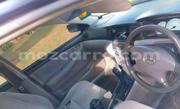 Buy Used Toyota Corolla Other Car in Maputo in Maputo Buy Used Toyota Corolla Other Car in Maputo in Maputo