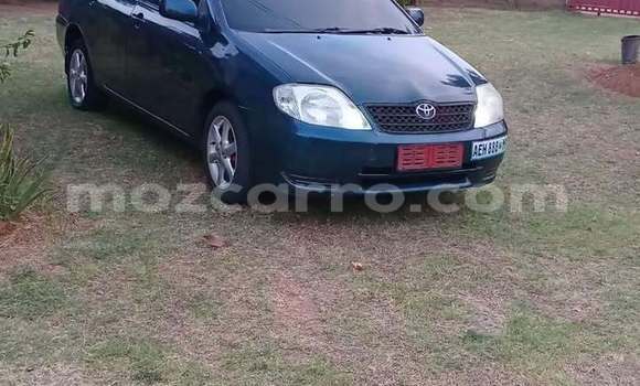 Buy Used Toyota Corolla Other Car in Maputo in Maputo Buy Used Toyota Corolla Other Car in Maputo in Maputo