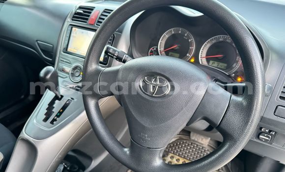 Tenga Tsaru Toyota Auris Sirivha Mota in Maputo in Maputo Tenga Tsaru Toyota Auris Sirivha Mota in Maputo in Maputo