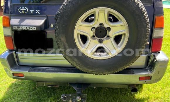 Tenga Tsaru Toyota Land Cruiser Prado Bhuruu Mota in Maputo in Maputo Tenga Tsaru Toyota Land Cruiser Prado Bhuruu Mota in Maputo in Maputo
