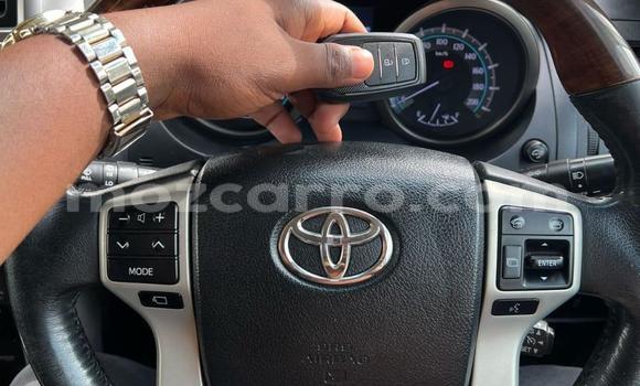 Tenga Tsaru Toyota Land Cruiser Prado Chena Mota in Maputo in Maputo Tenga Tsaru Toyota Land Cruiser Prado Chena Mota in Maputo in Maputo